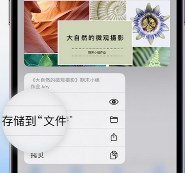 海林apple维修中心分享iPhone文件应用中存储和找到下载文件