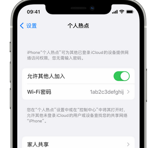 海林apple服务站点分享iPhone上个人热点丢失了怎么办 