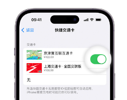 海林apple维修点分享iPhone上更换Apple Pay快捷交通卡手绘卡面 