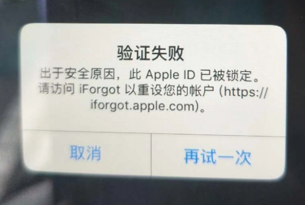 海林iPhone维修分享iPhone上正常登录或使用AppleID怎么办 