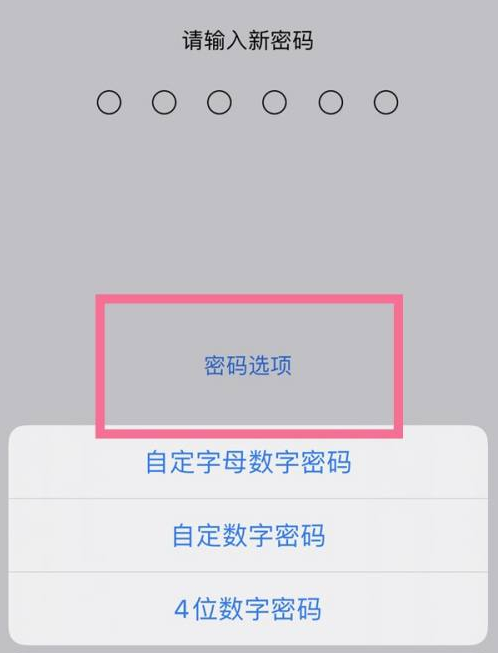 海林苹果14维修分享iPhone 14plus设置密码的方法 