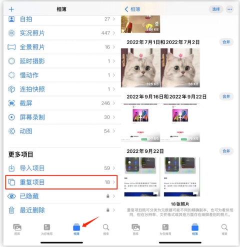 海林苹果手机维修分享iOS 16 中相册重复项目功能使用方法 