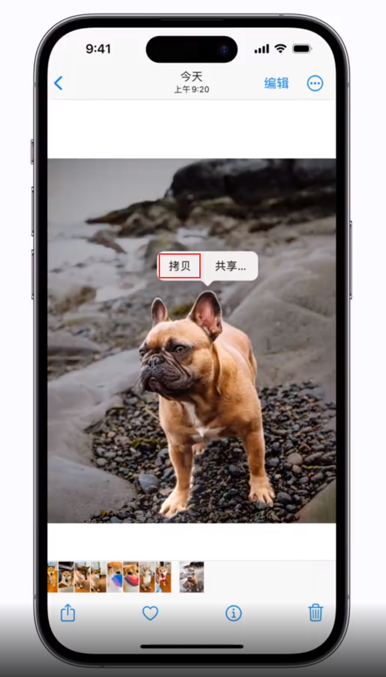 海林苹果手机维修分享 iOS 16 自带一键抠图功能 