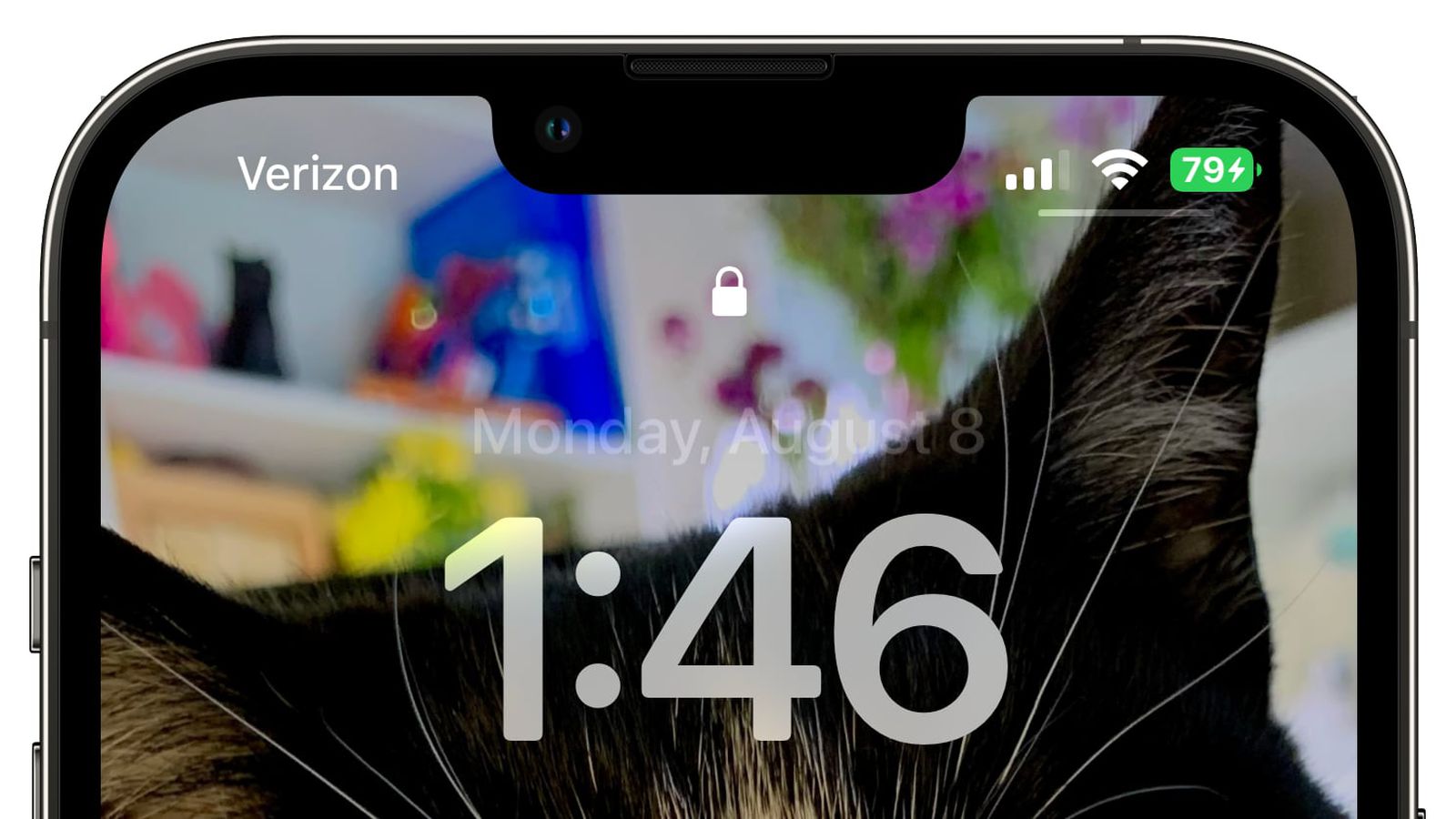 海林苹果手机维修分享iOS 16 beta 5 支持状态栏显示电池百分比，如何开启？支持哪些机型 