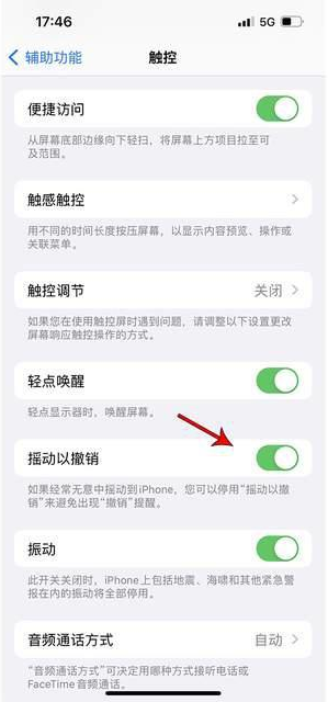 海林苹果手机维修分享iPhone手机如何设置摇一摇删除文字 