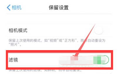 海林苹果13维修分享iPhone13拍照有绿点是怎么回事 