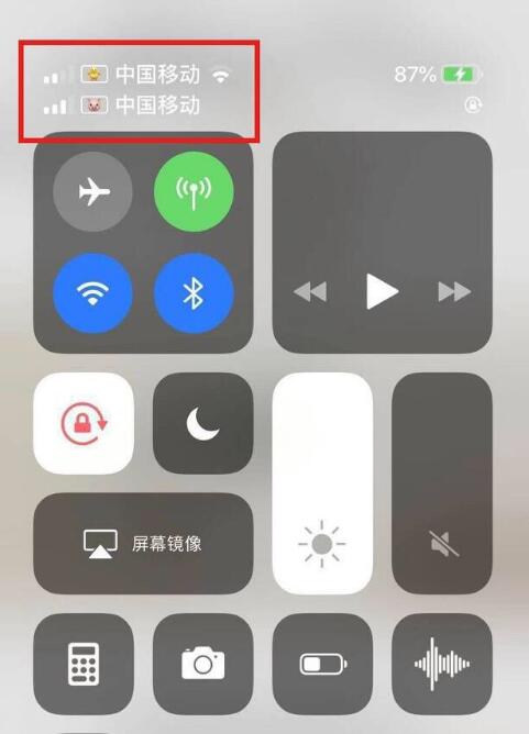海林苹果手机维修分享为 iPhone 12 双卡设置标签 