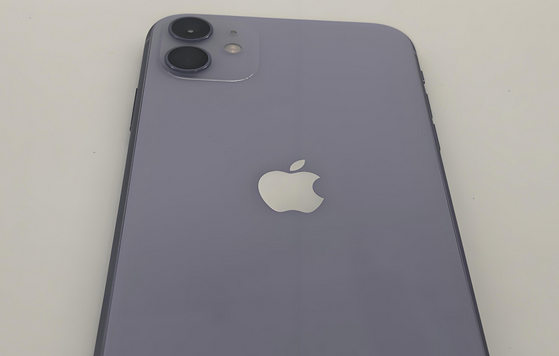 海林苹果11系统维修分享iPhone11手机系统崩溃无法开机如何解决